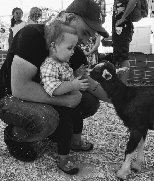 Dad toddler goat